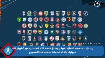 رسميًا.. مصرف شمال أفريقيا يطلق خدمة فتح الحساب عبر تطبيق ناب موبايل بثلاث خطوات سهلة هذا الأسبوع